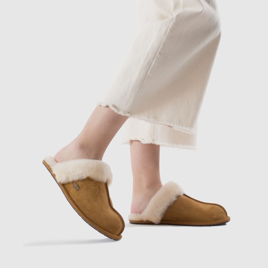 Dr Martens Schweiz Zürich Tan Ugg Scuffette Slippers