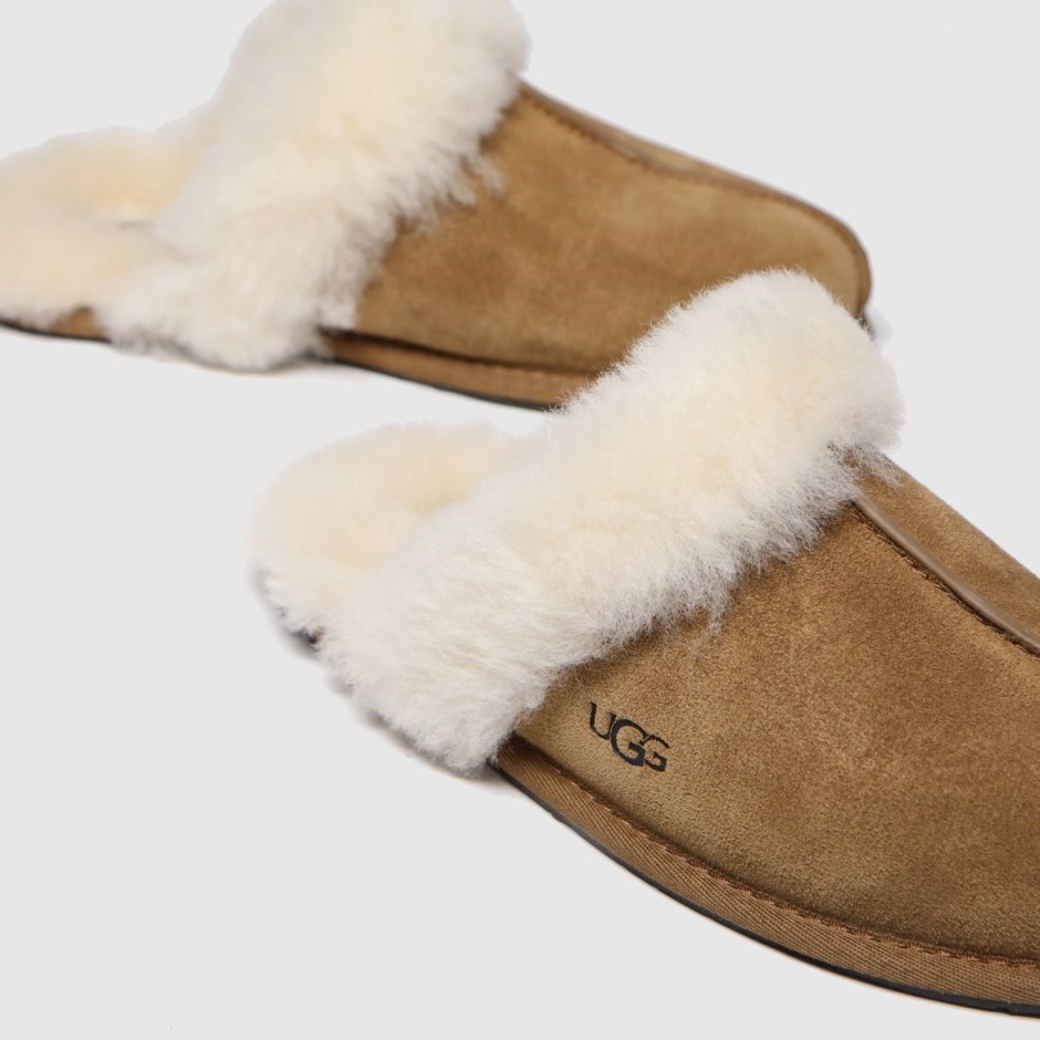 Dr Martens Schweiz Zürich Tan Ugg Scuffette Slippers