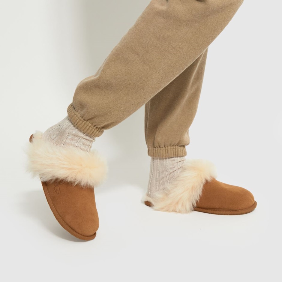 Dr Martens Schweiz Zürich Ugg Scuff Sis Slippers Tan