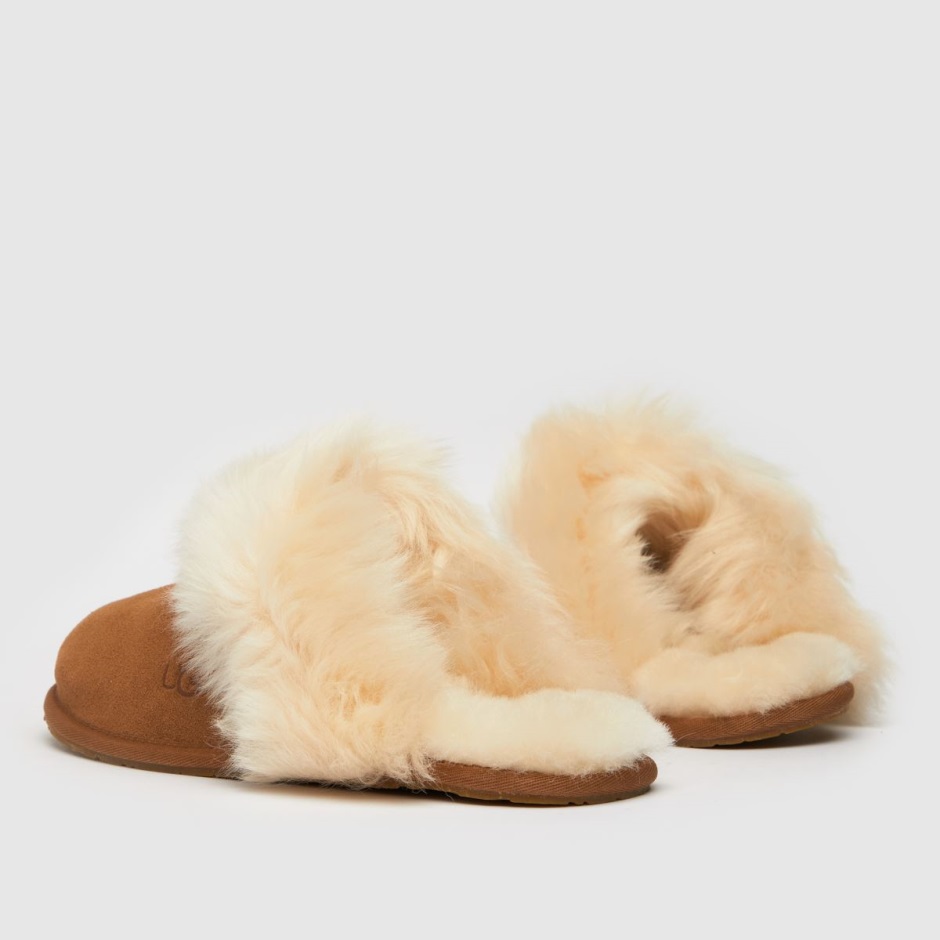 Dr Martens Schweiz Zürich Ugg Scuff Sis Slippers Tan