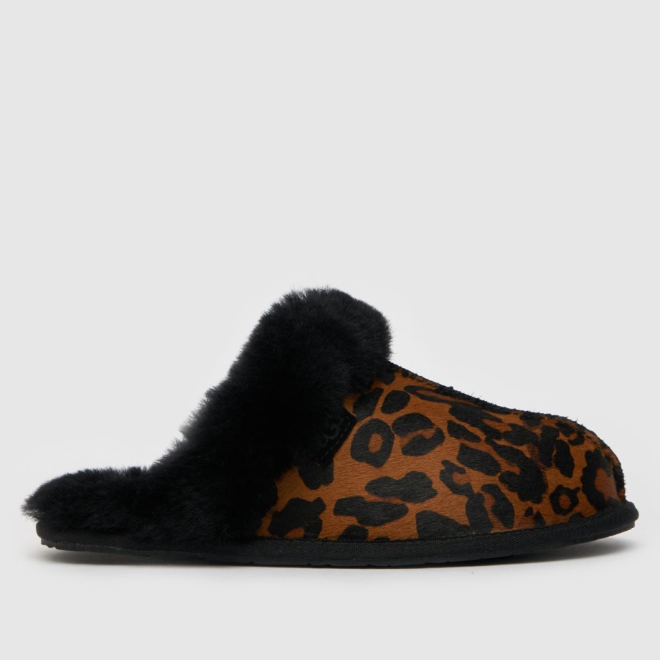 Dr Martens Schweiz Zürich Black-brown Ugg Scuffette Ii Slippers