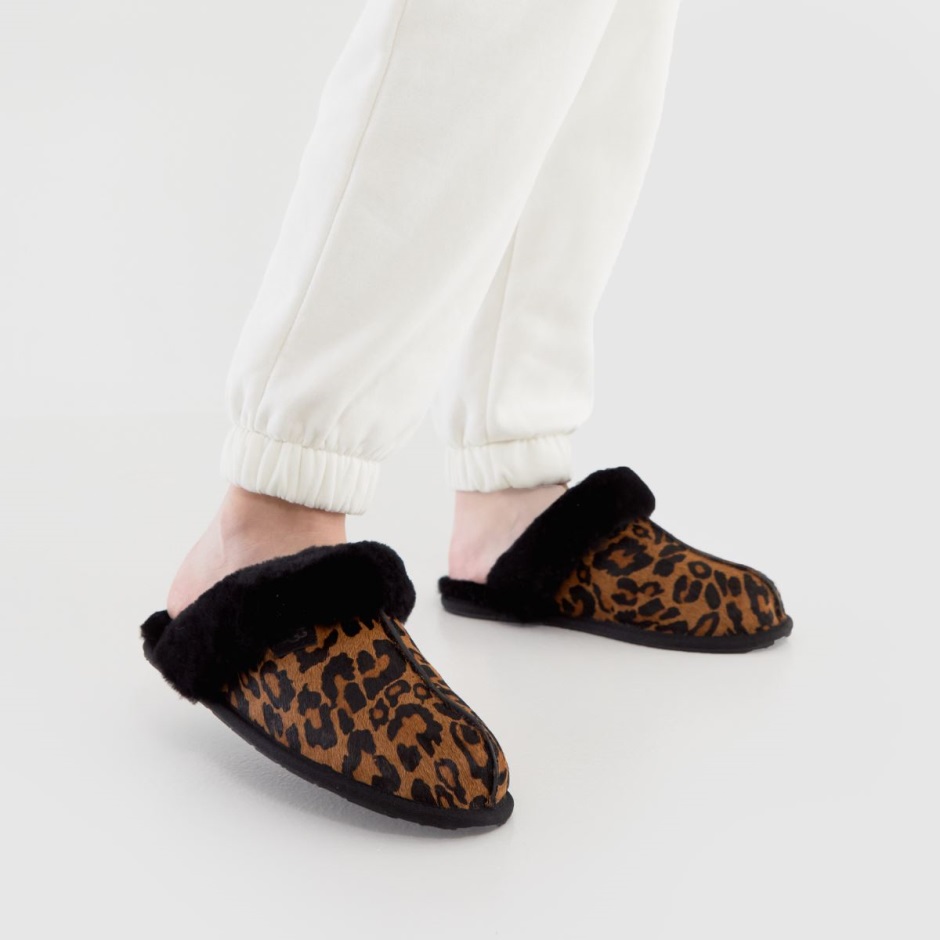 Dr Martens Schweiz Zürich Black-brown Ugg Scuffette Ii Slippers