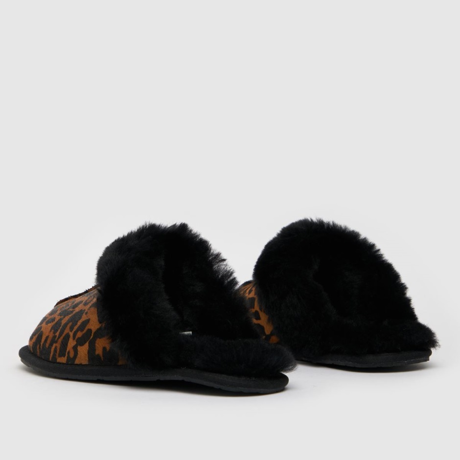 Dr Martens Schweiz Zürich Black-brown Ugg Scuffette Ii Slippers