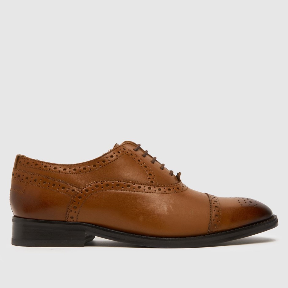 Ted Baker Arniie Shoes Tan Dr Martens Schweiz