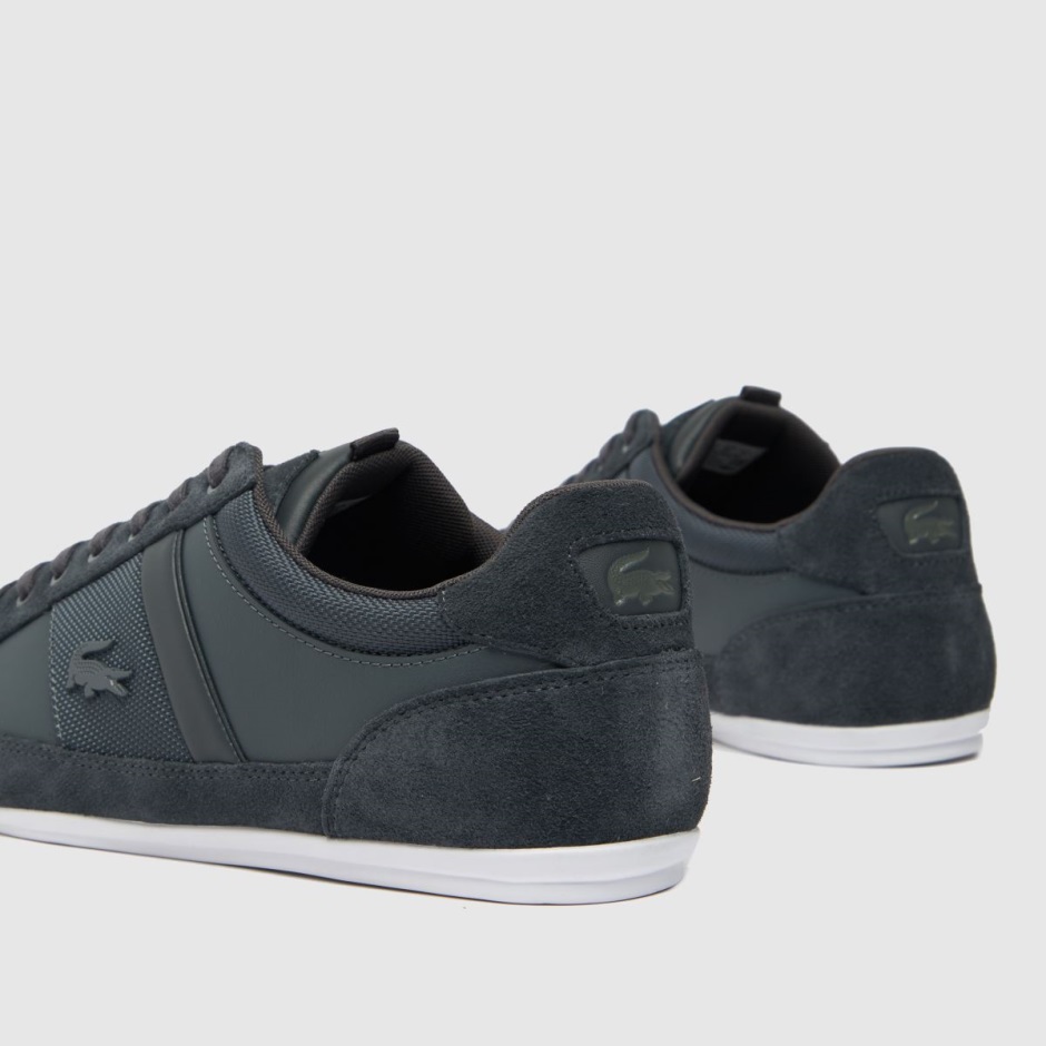 Grey Dr Martens Schweiz Lacoste Chaymon Trainers