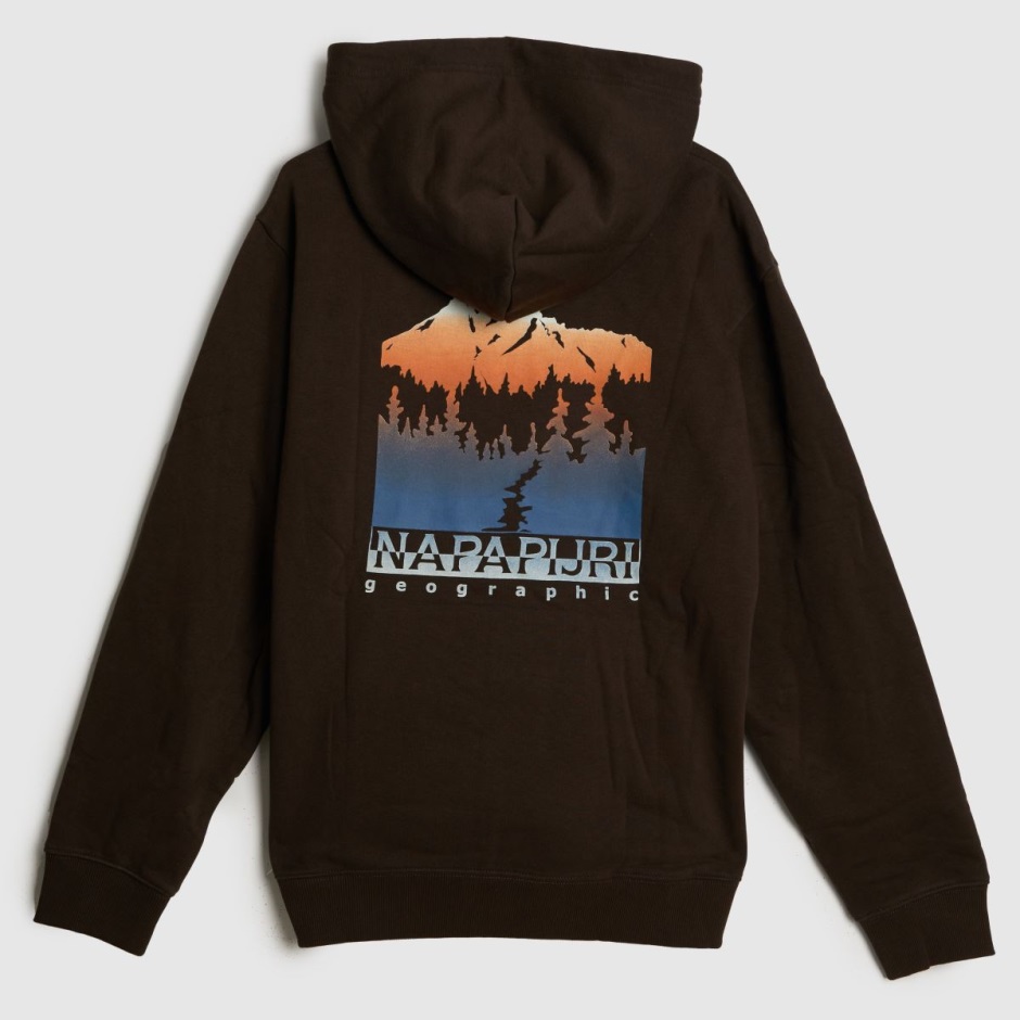 Brown Napapijri Freestyle Hoodie Dr Martens Schweiz