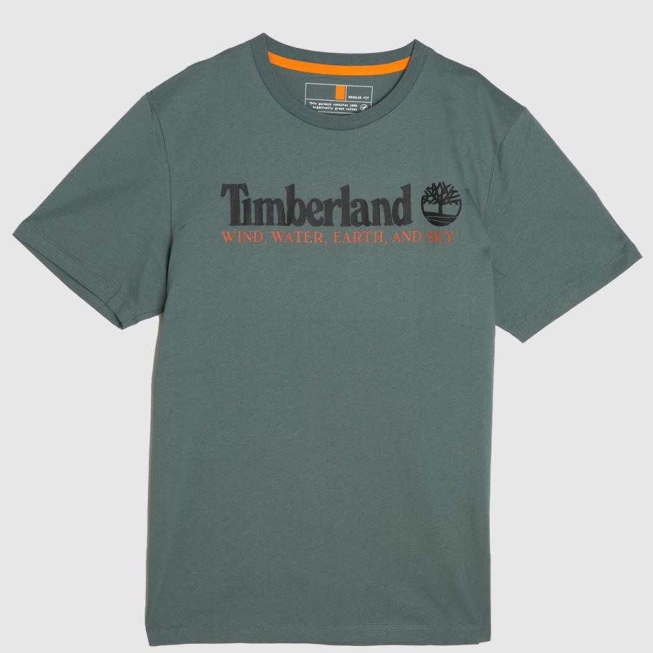 Grünes T-Shirt Mit Logo Auf Der Vorderseite Von Dr. Martens Schweiz Timberland
