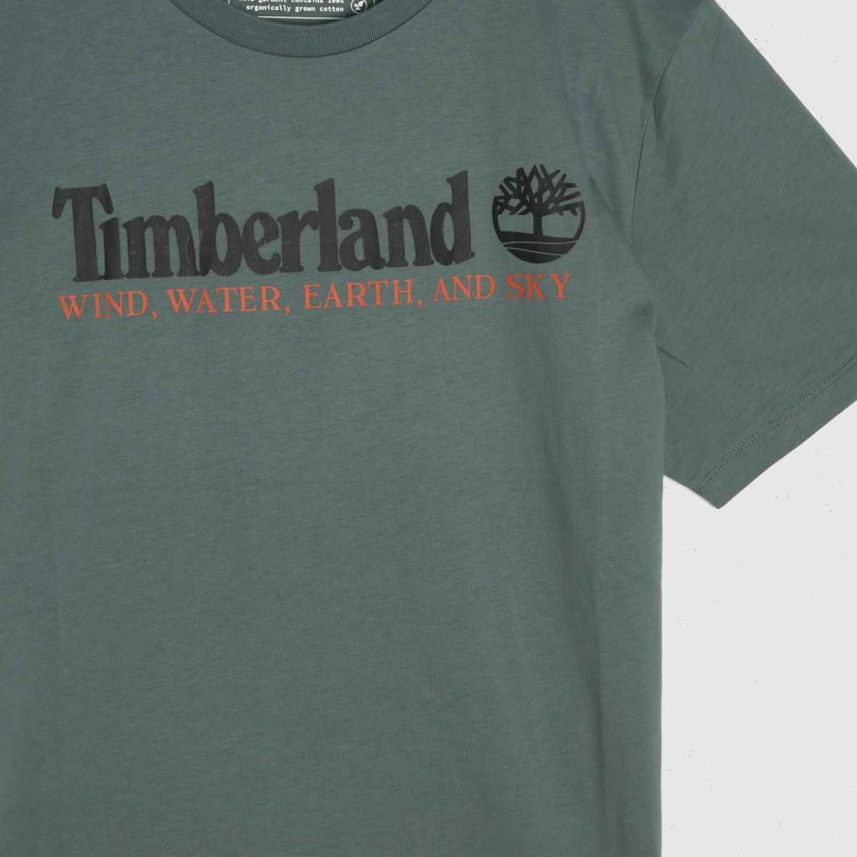 Grünes T-Shirt Mit Logo Auf Der Vorderseite Von Dr. Martens Schweiz Timberland