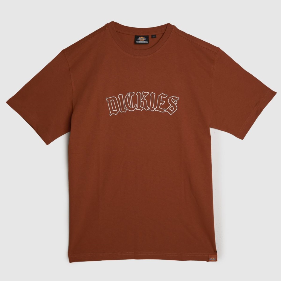 Dickies Union Springs T-shirt Dr Martens Schweiz Zürich Orange