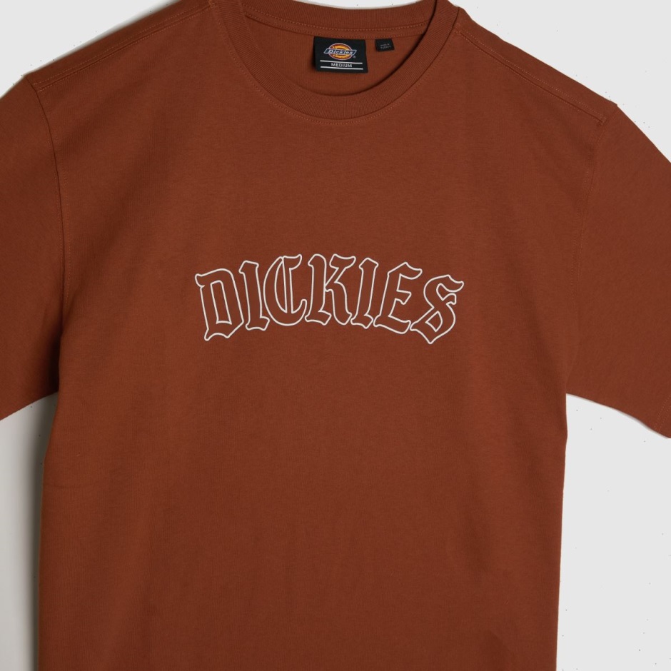 Dickies Union Springs T-shirt Dr Martens Schweiz Zürich Orange