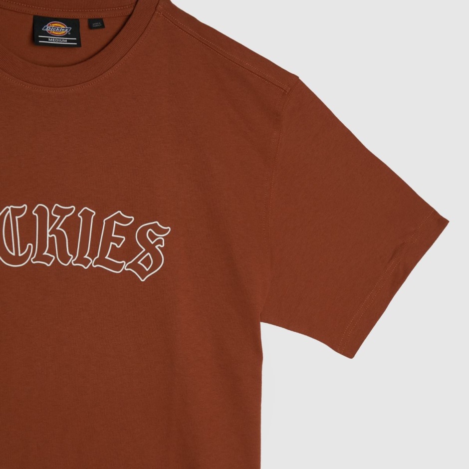 Dickies Union Springs T-shirt Dr Martens Schweiz Zürich Orange