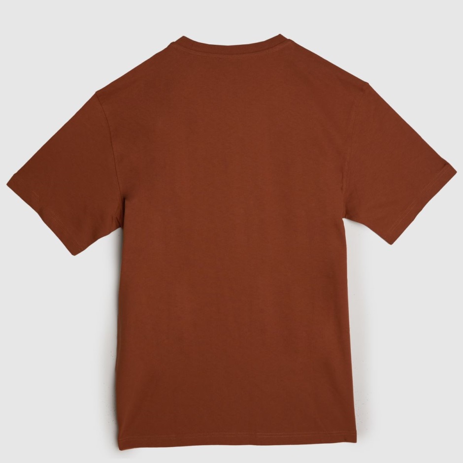 Dickies Union Springs T-shirt Dr Martens Schweiz Zürich Orange