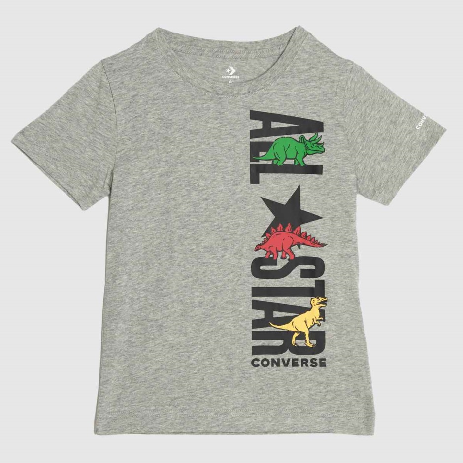 Dr Martens Schweiz Zürich Light Grey Converse Boys Dinoverse All Star Tshirt