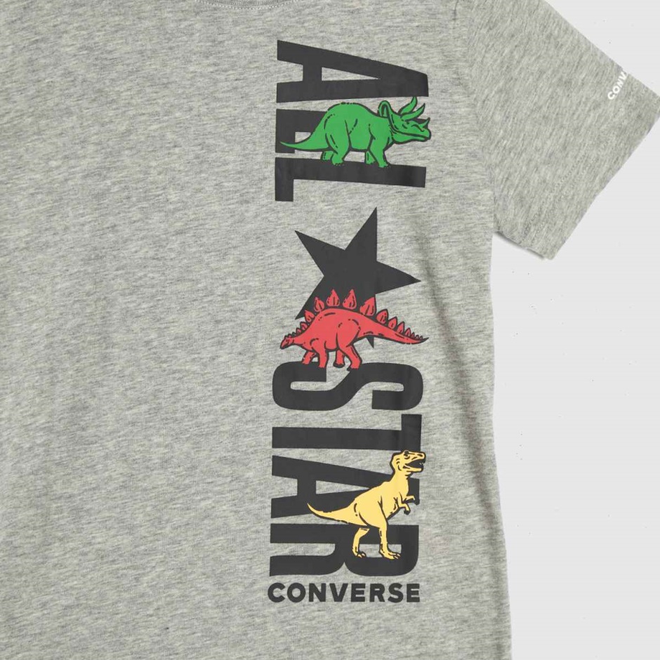 Dr Martens Schweiz Zürich Light Grey Converse Boys Dinoverse All Star Tshirt