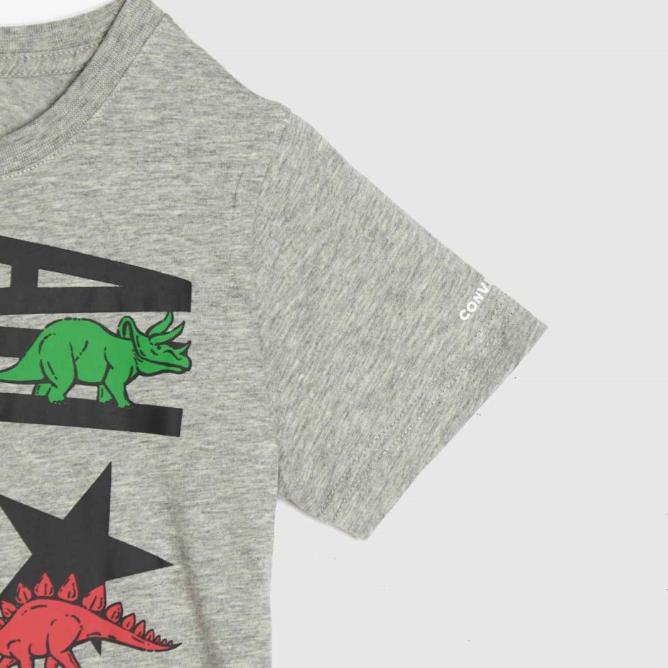 Dr Martens Schweiz Zürich Light Grey Converse Boys Dinoverse All Star Tshirt