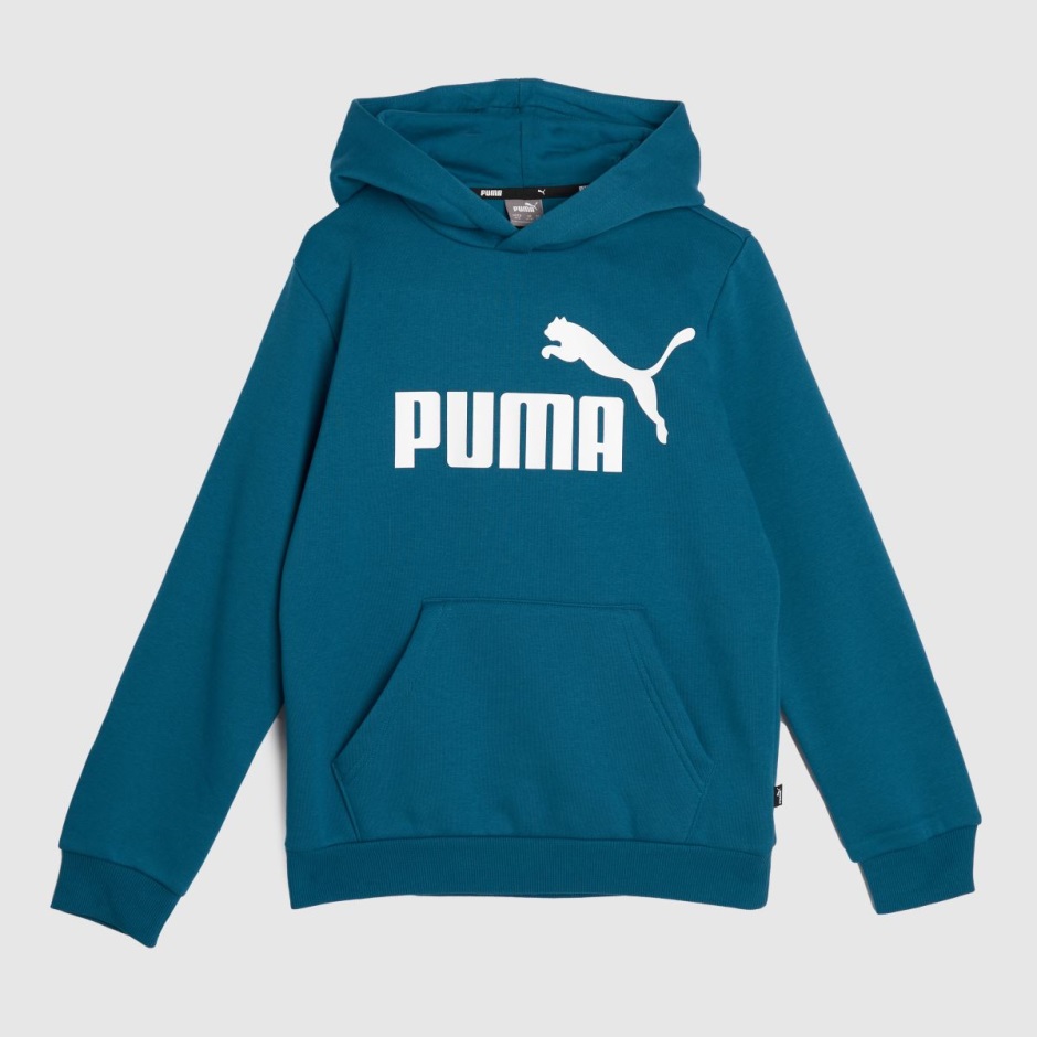Blue Dr Martens Schweiz Puma Big Logo Hoodie
