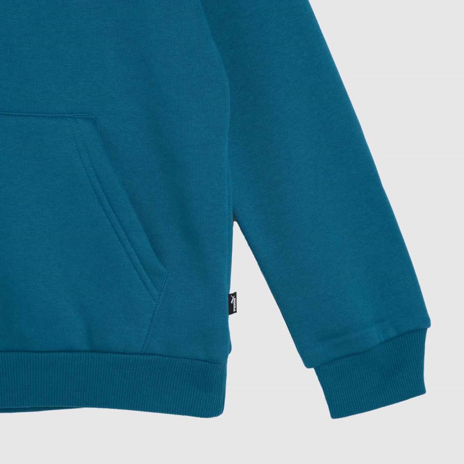 Blue Dr Martens Schweiz Puma Big Logo Hoodie